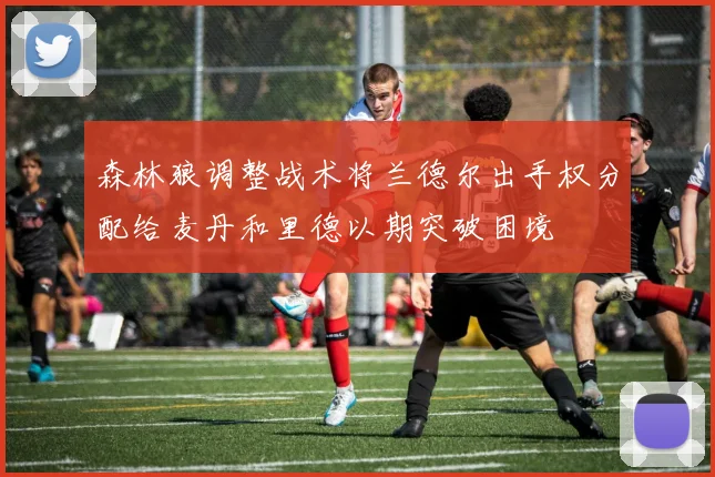 森林狼调整战术将兰德尔出手权分配给麦丹和里德以期突破困境